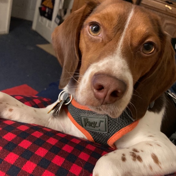 Hello and welcome to my Gram’s closet - Picture 2 of 3